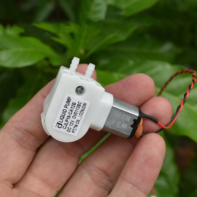 CJLP19-CA12B DC 12V Small Flow - Mini Peristaltic Pump 12V ulasan dan harga