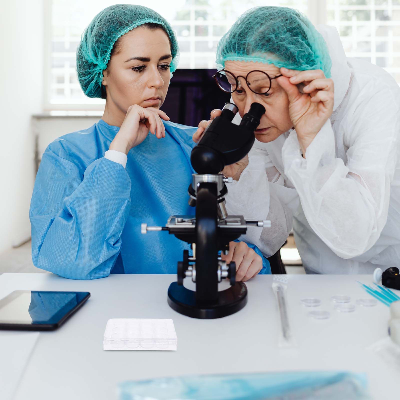 12-Hole Cell Culture Plate Tis - Lab Equipment ulasan dan harga